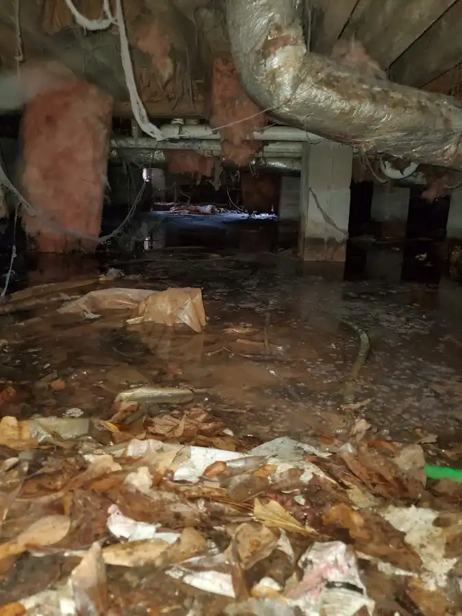 Crawl space flood assessment for Leak Detection & Repair in Whispering Pines